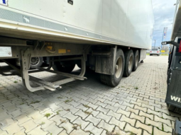 
										SCHMITZ, SKO 24 full									